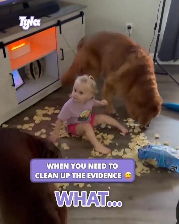 Eat up a bit faster boys 🤣