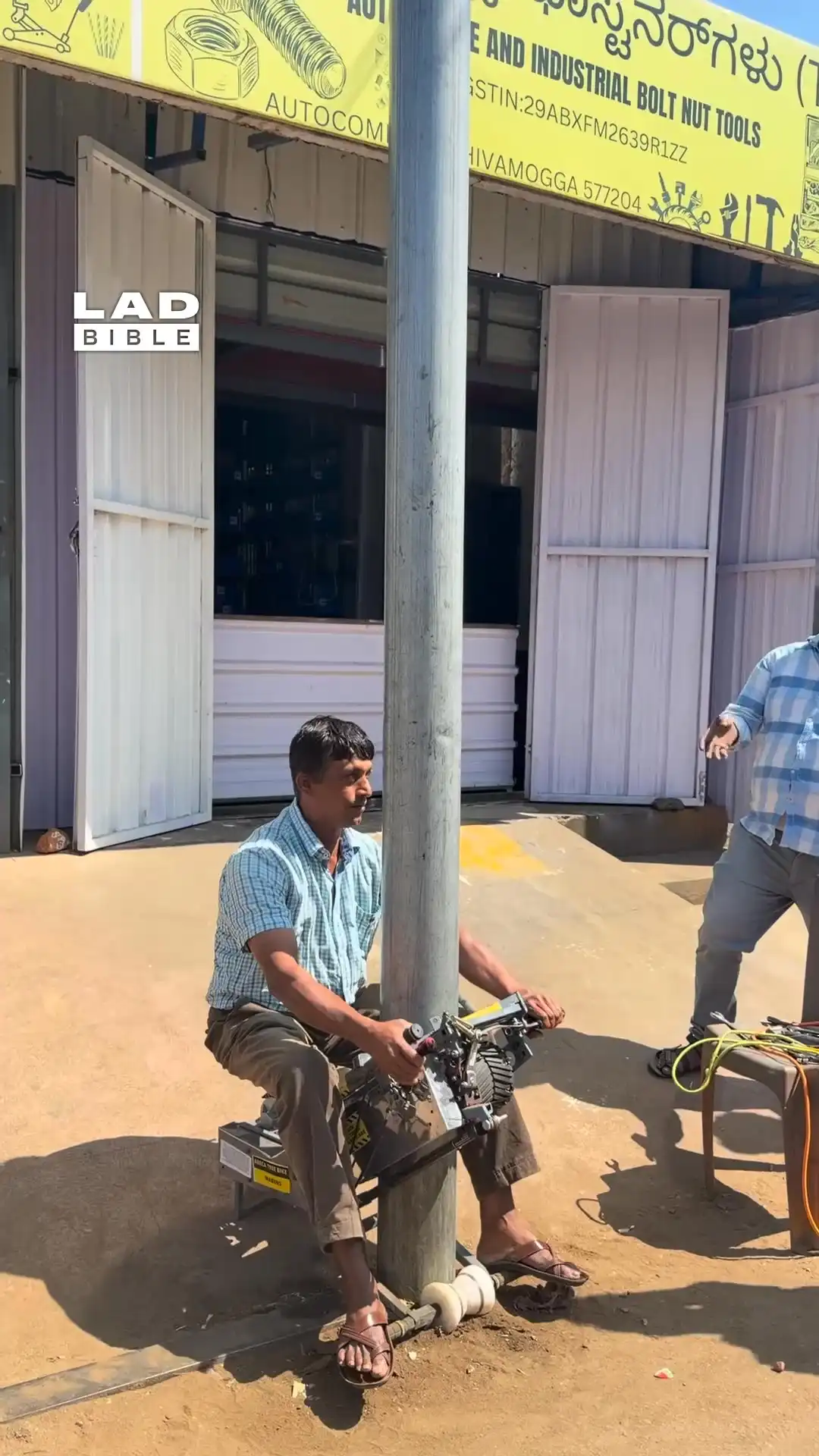 Collecting coconuts is so easy with this tree 🌴🥥