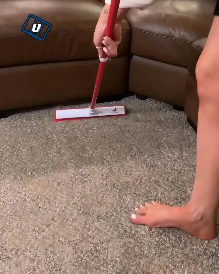 Ultimate pet hair brush 🐶🤯