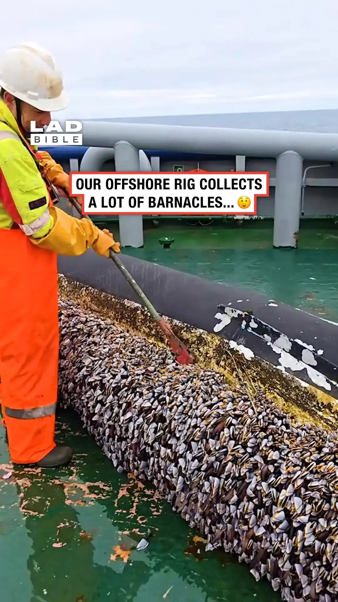 Scraping barnacles on off shore rig 😲