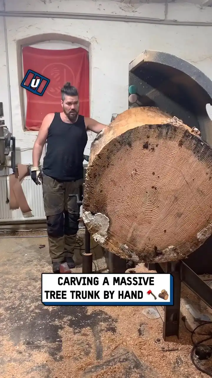 Carving a huge tree trunk 🪚😳