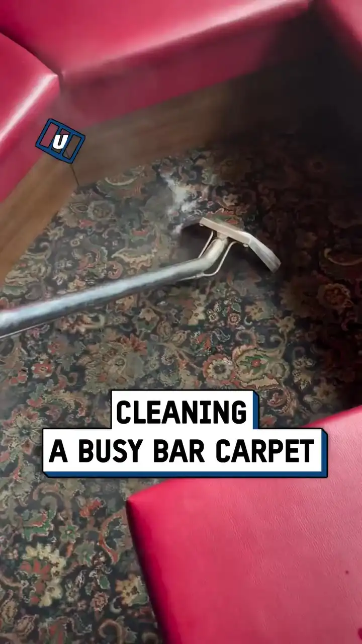 Satisfying pub carpet clean 🧼🤩