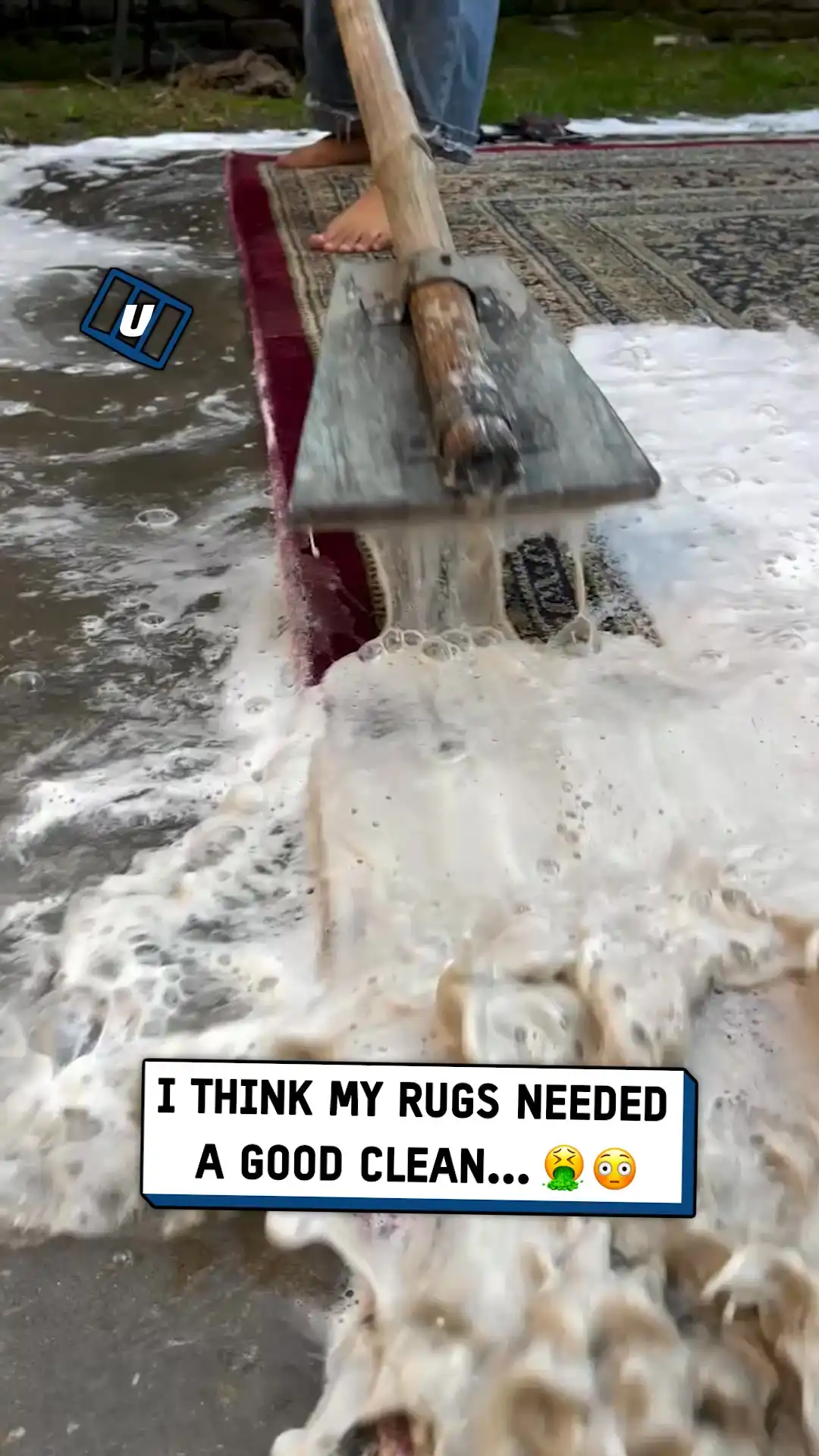 9x16 Rug cleaning is so satisfying ST00161105