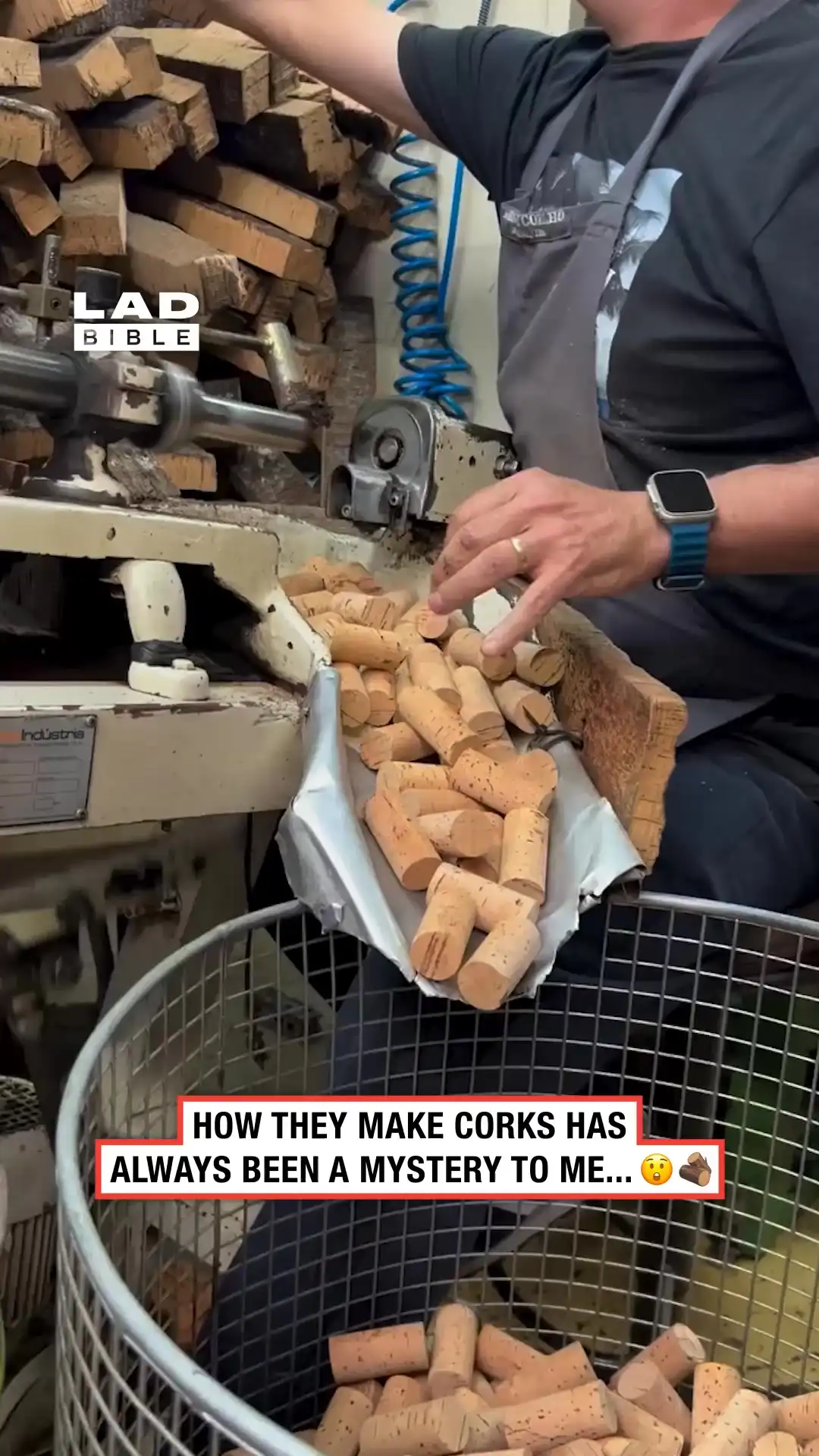 Making natural corks ๐ฒ