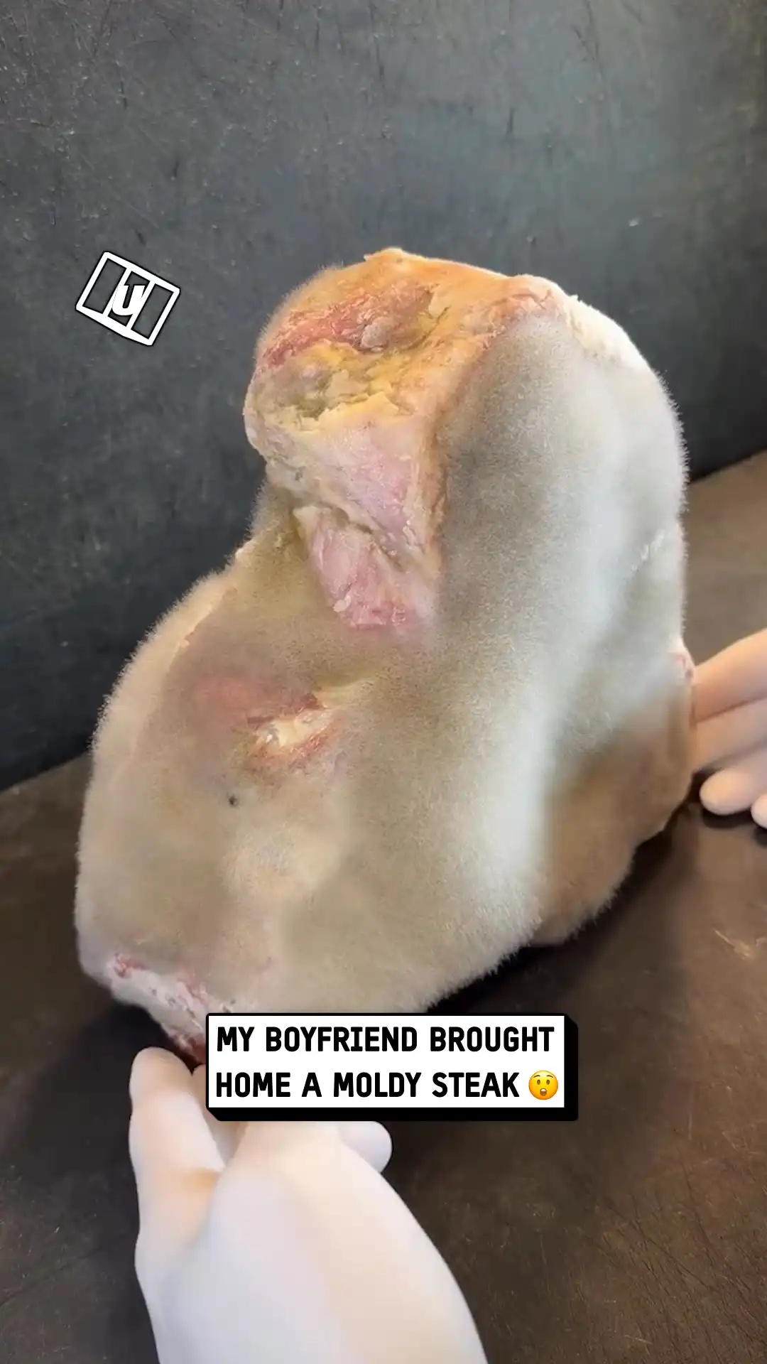 Satisfying Moldy T Bone Steak