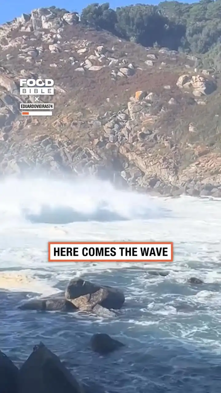 Trying to cross the sea 🌊