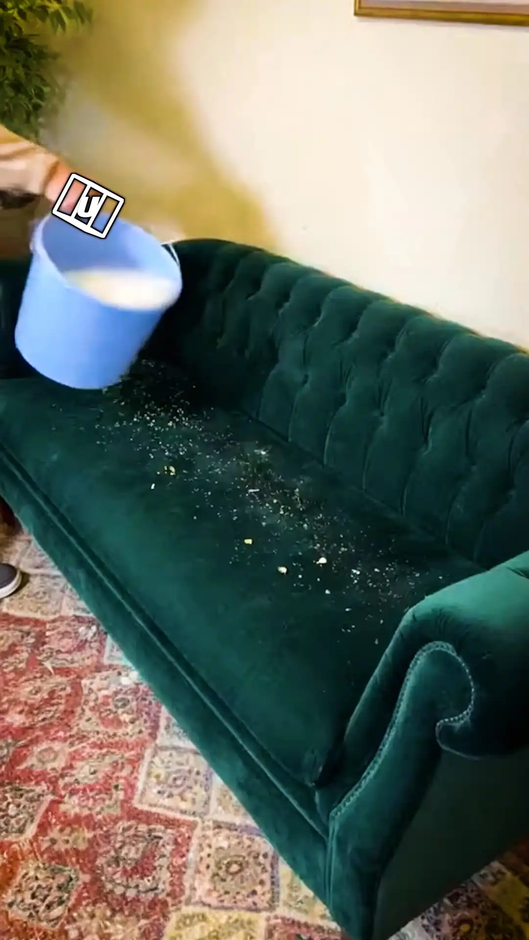 Soapy Sofa Cleanse