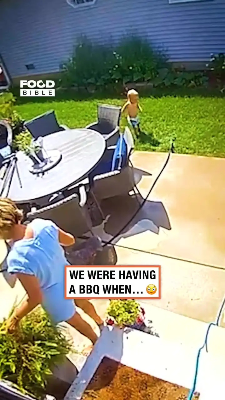 Nothing is safe around toddlers 😂💦