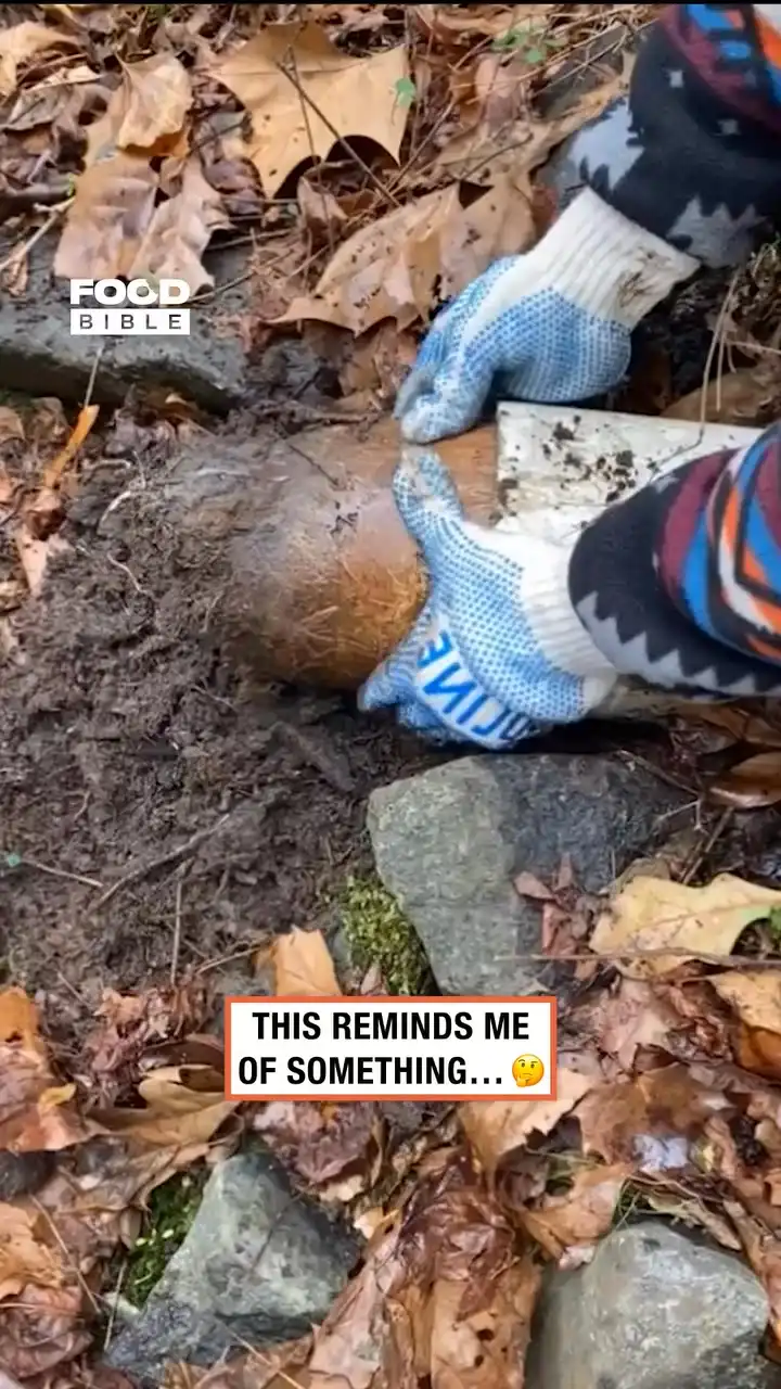 Me after Mexican night 😅