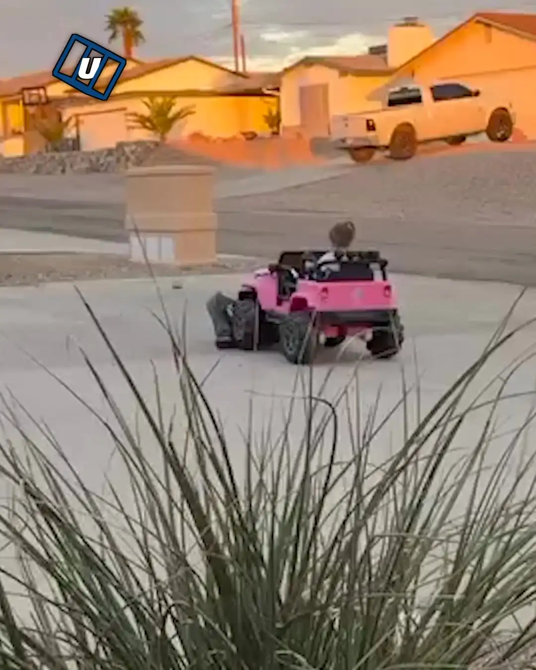 9x16 Girl tries to run over her sibling TECH fb ST00160738