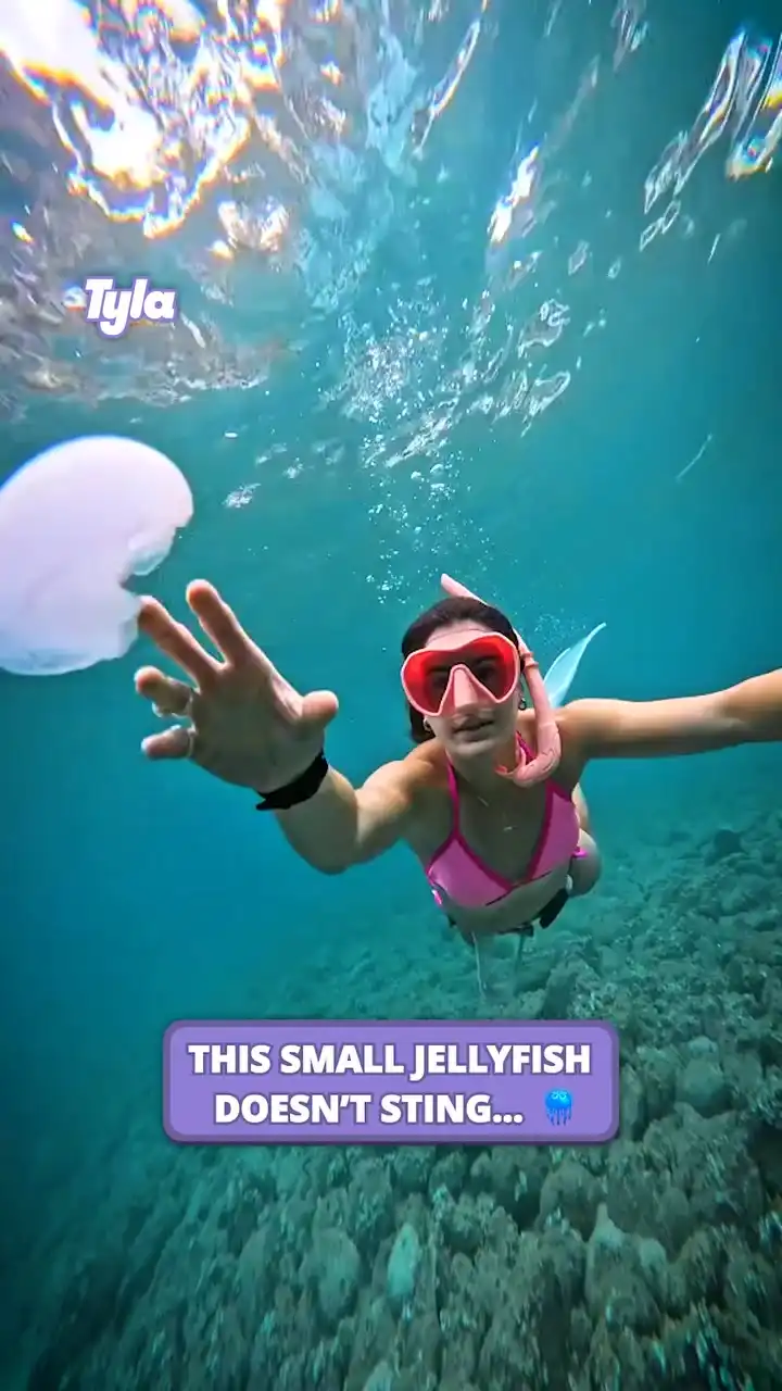 The immediate regret 😳🪼 #fblifestyle