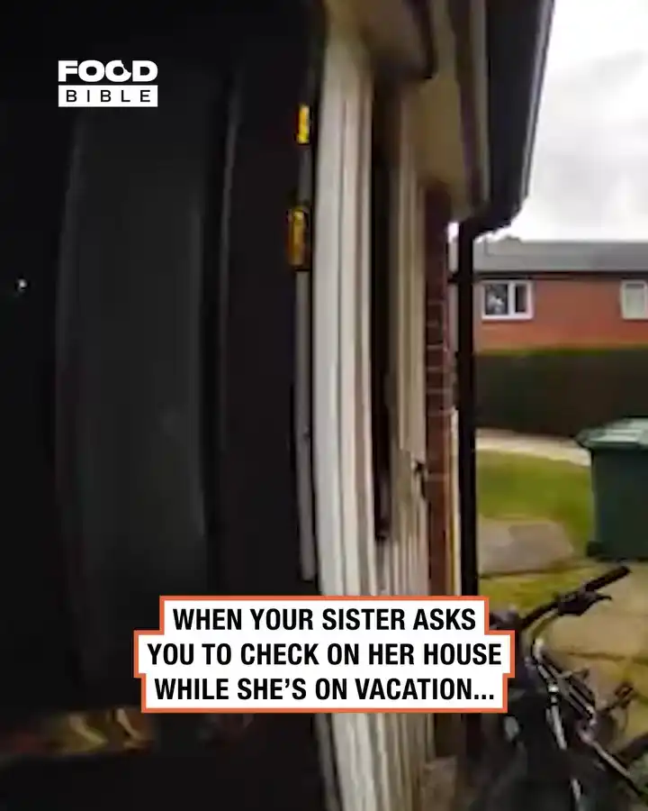 He stole all the snacks from my house 🍟😱