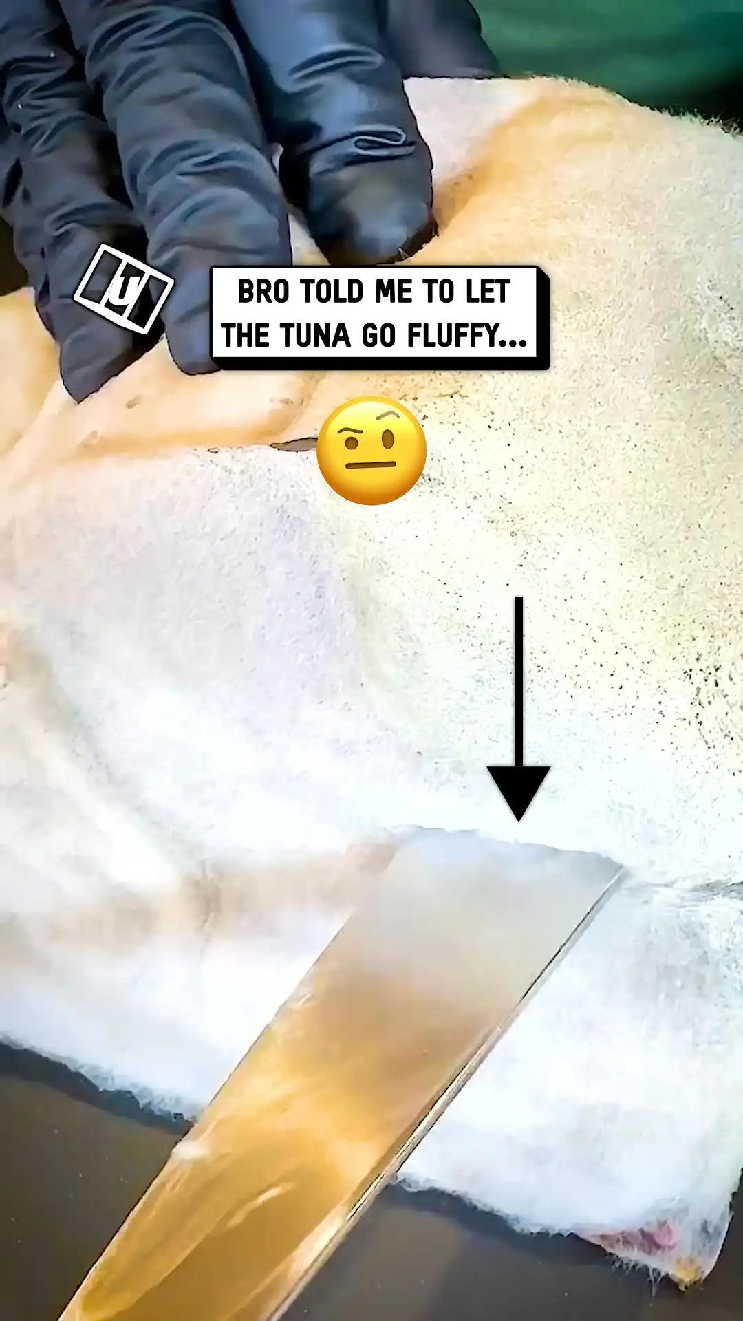 Fuzzy tuna is so satisfying 🤢🍣