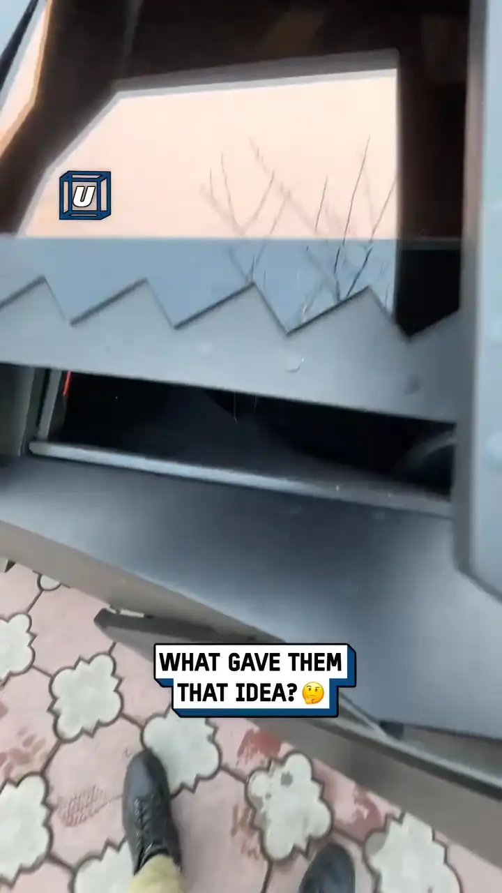 My neighbors think I'm Batman for some reason... 🦇🤣