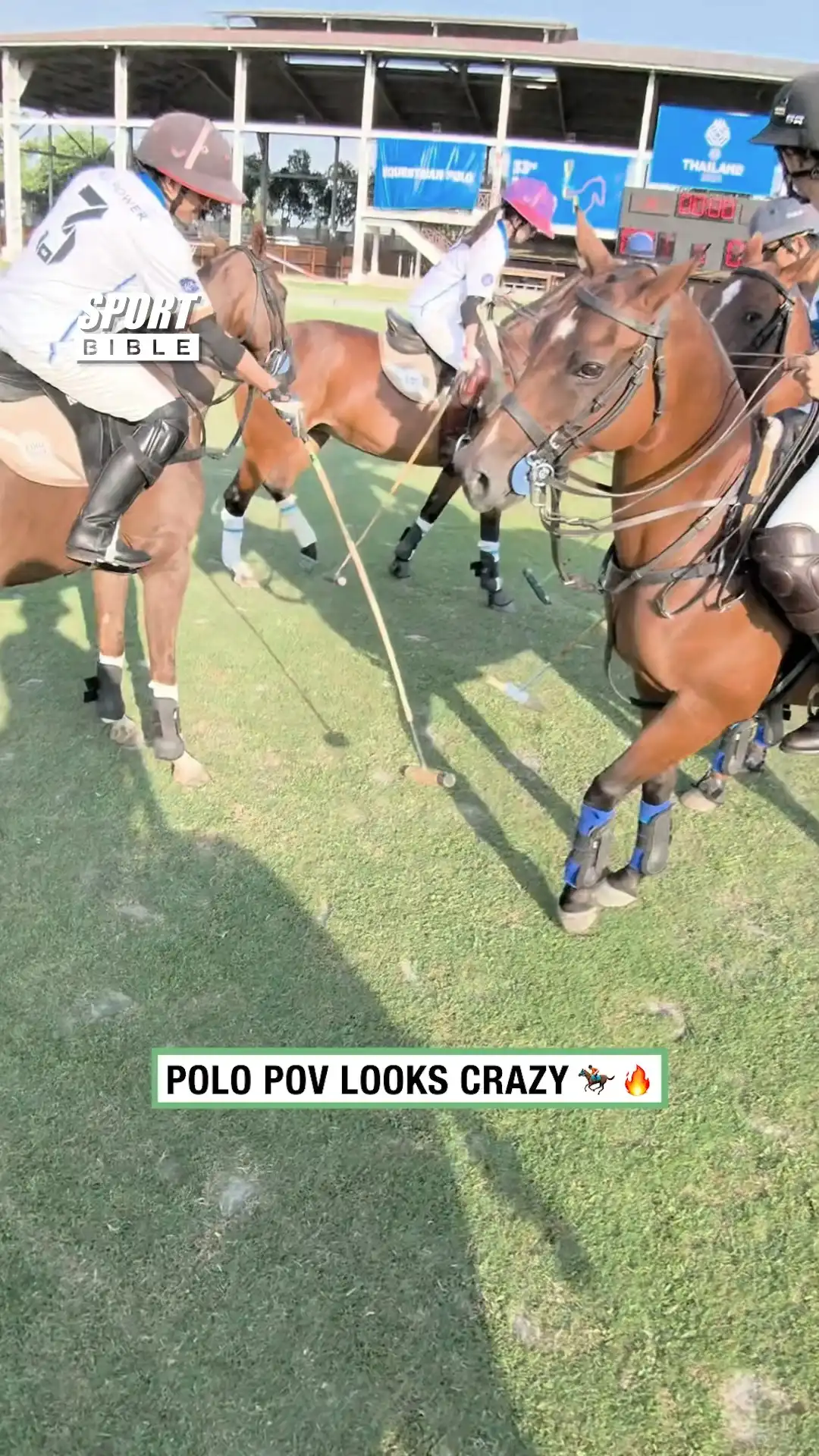 Polo POV Looks Crazy 🏇🔥