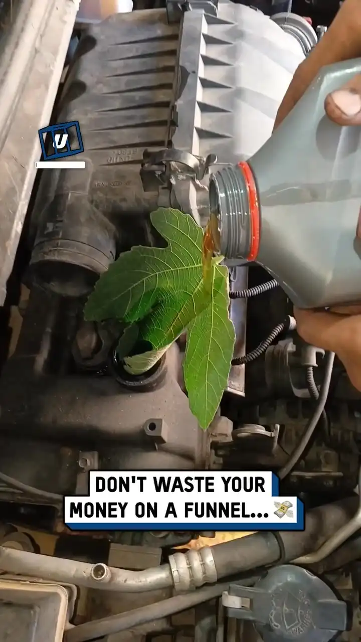 Who needs a funnel when you've got a leaf? 🍁😲