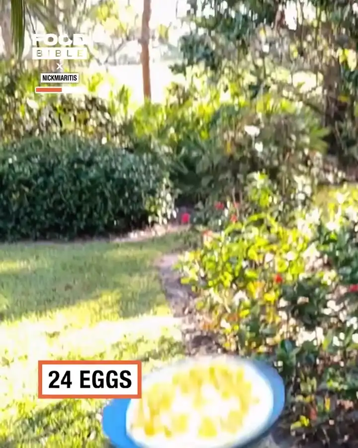 Flipping 36 eggs 🤯🍳