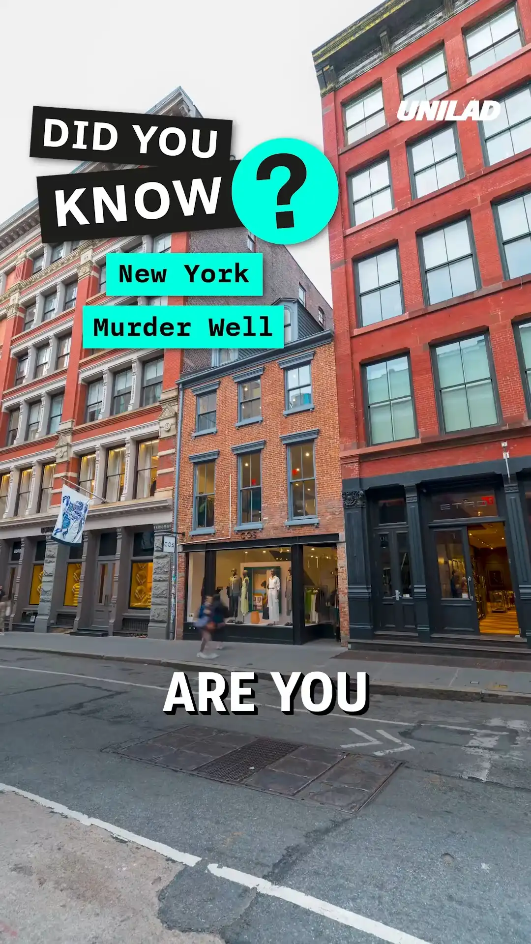 Did You Know About The 'Murder Well' in NYC?