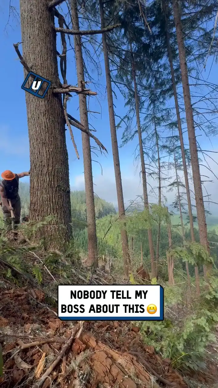 Nobody tell my boss this happened... 😬🌳