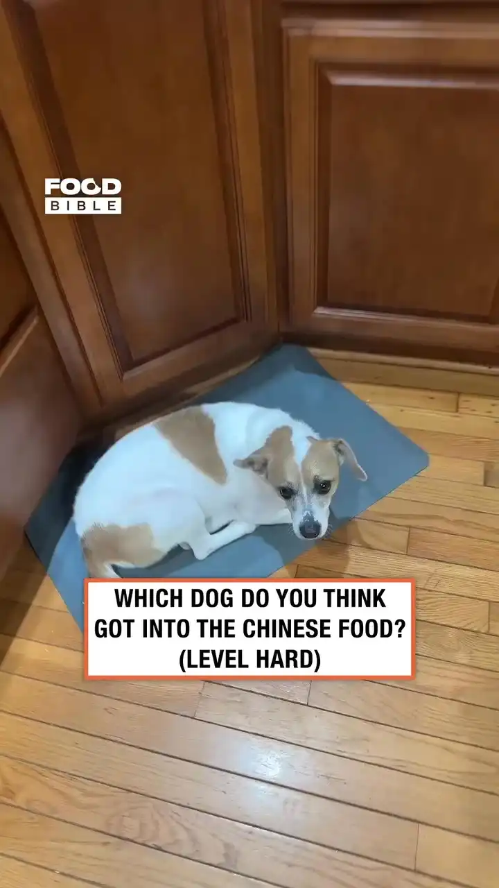 That was really hard 😂🐶