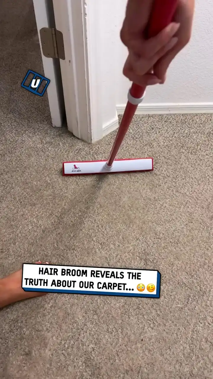 Hair Removal Broom 🧹