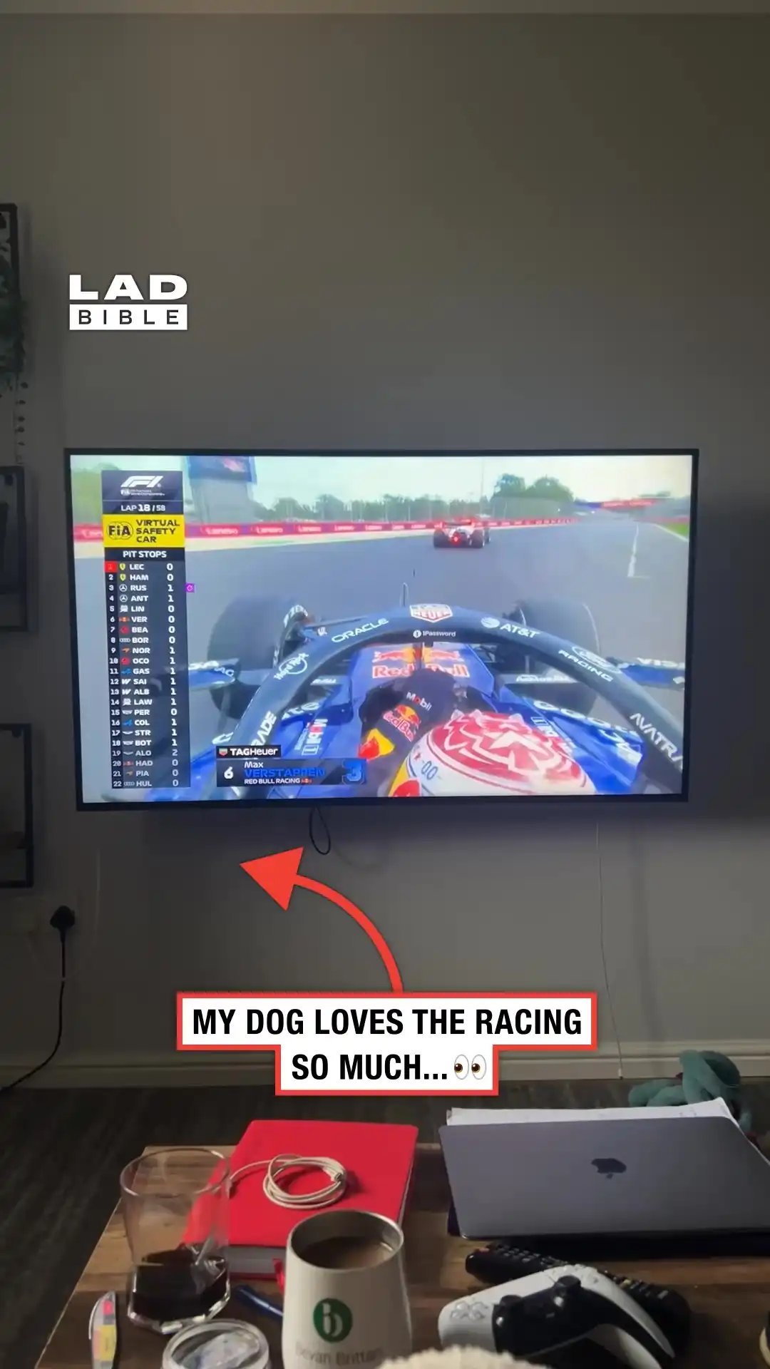 Dog does the greatest F1 impression 😂🏎️