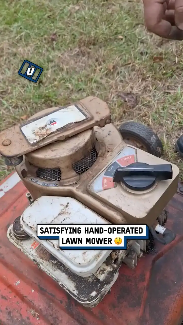 Satisfying hand operated lawn mower 👋😮