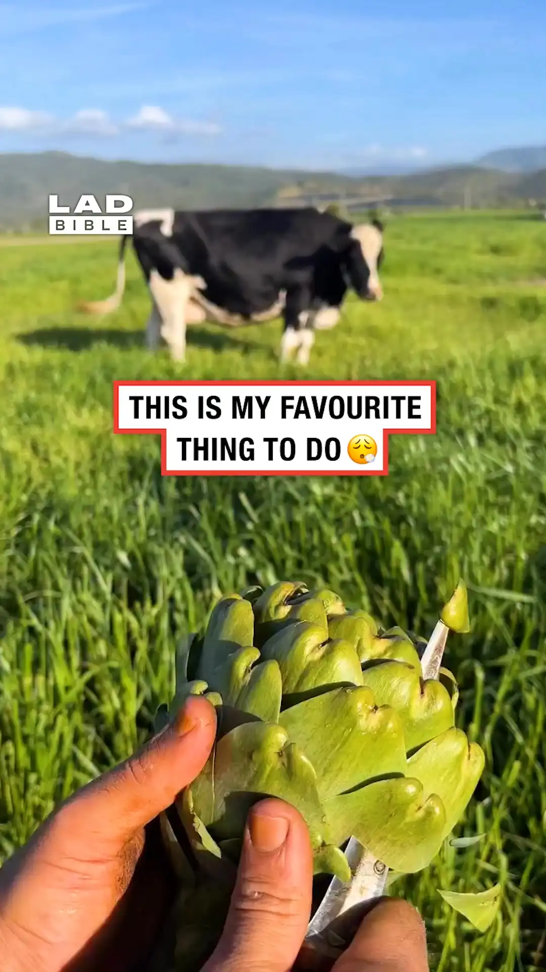 Satisfying artichoke carving 👏