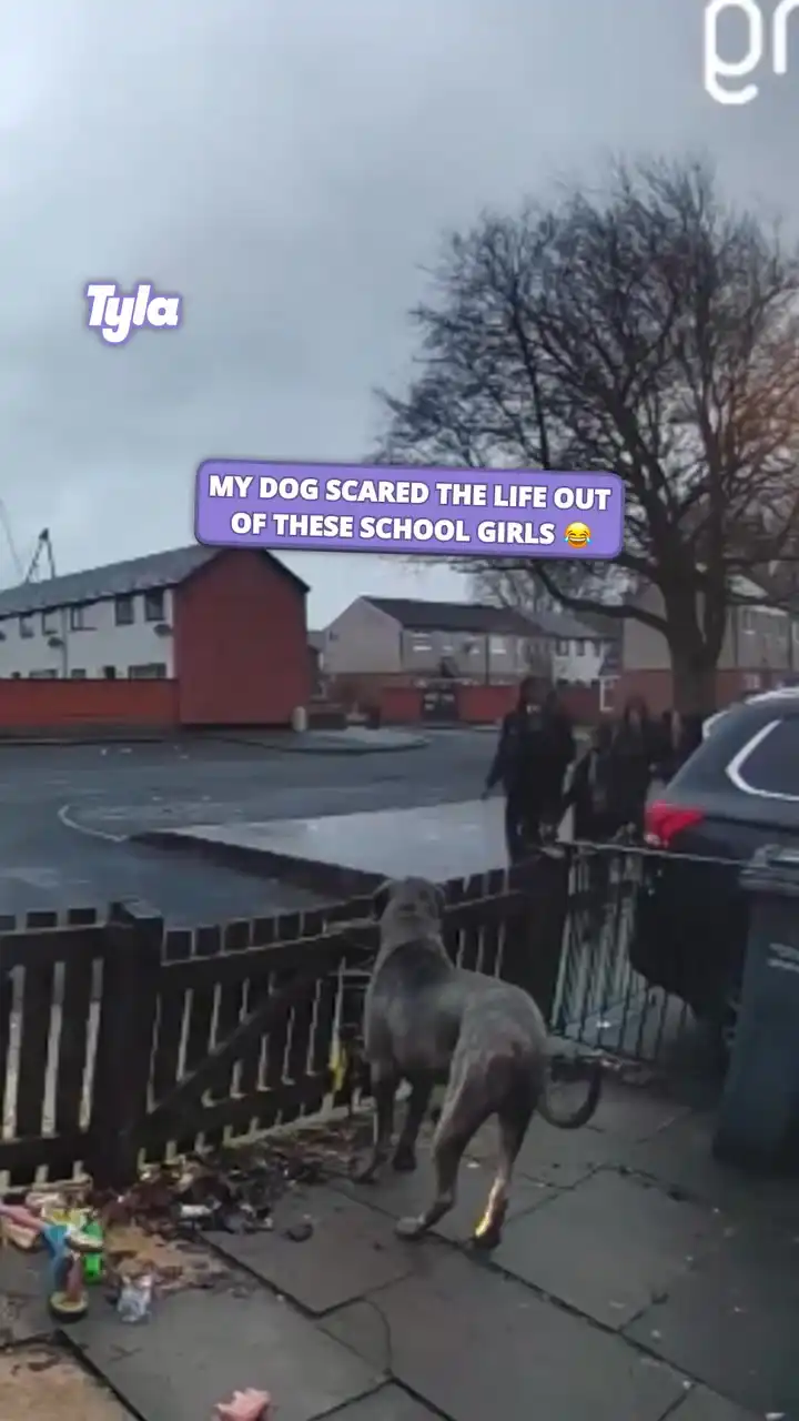 He just wanted to say hi 😢 #fblifestyle