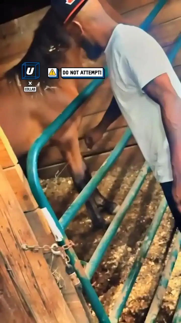 I regret testing the electric wire ⚡️😅