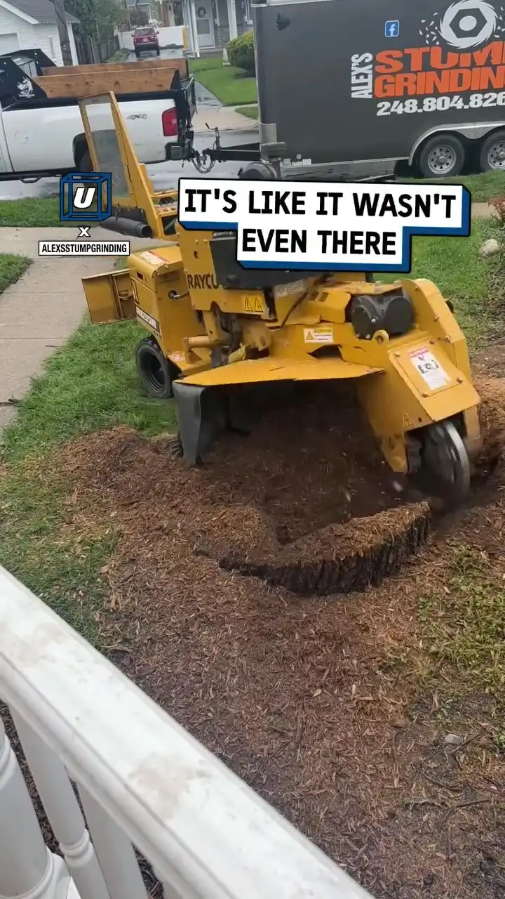 That tree stump disappeared in seconds... π³π³