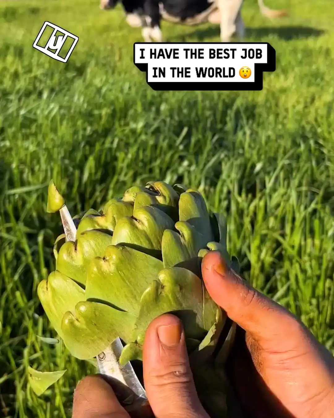 Why is this so satisfying 🤤