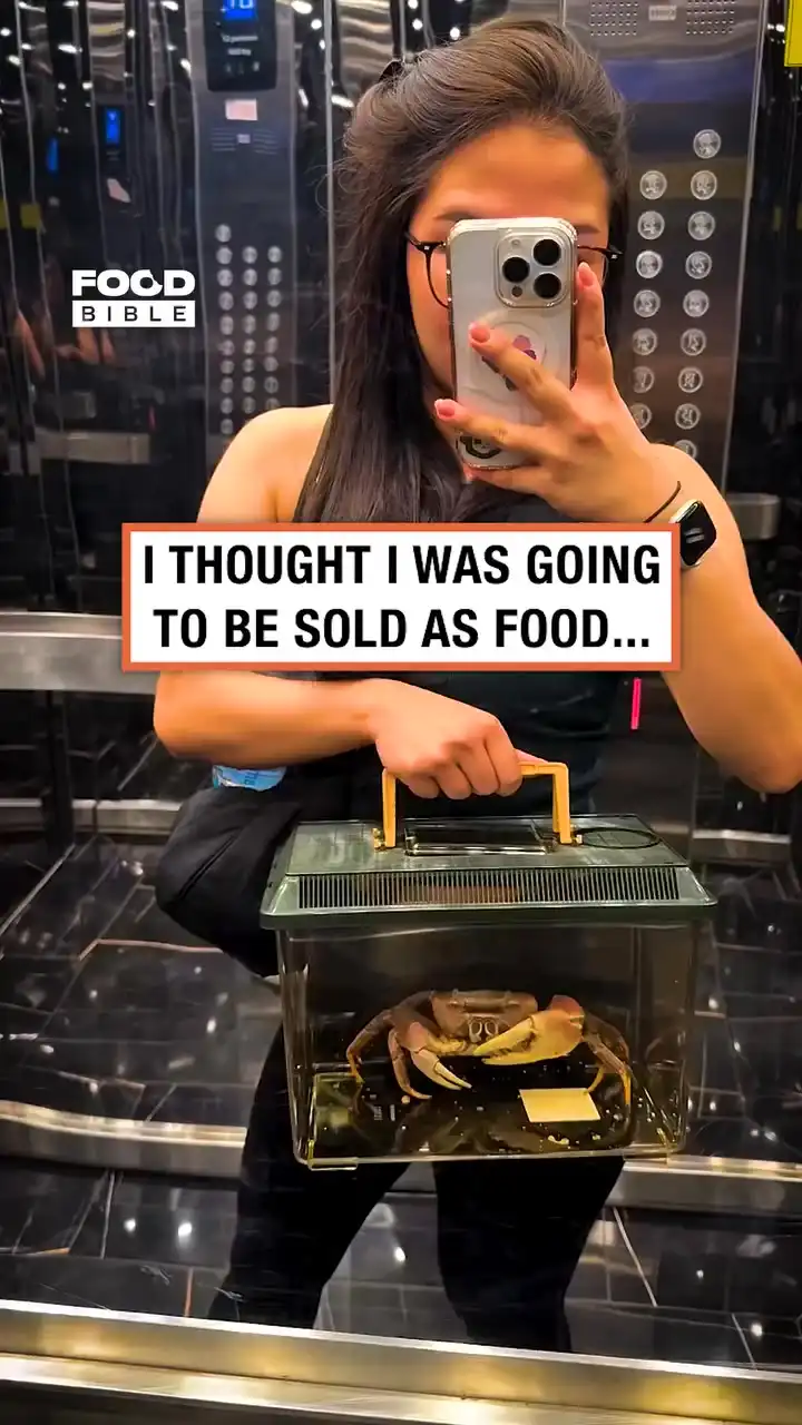 My rescue pet crab π¦π