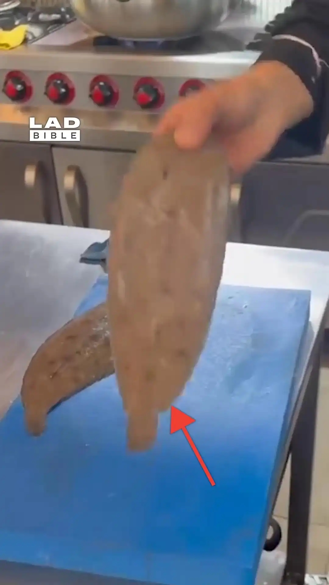 Peeling fish skin 🐟