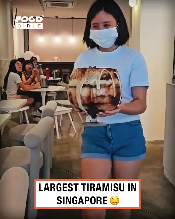 Largest tiramisu in Singapore 😲🤯