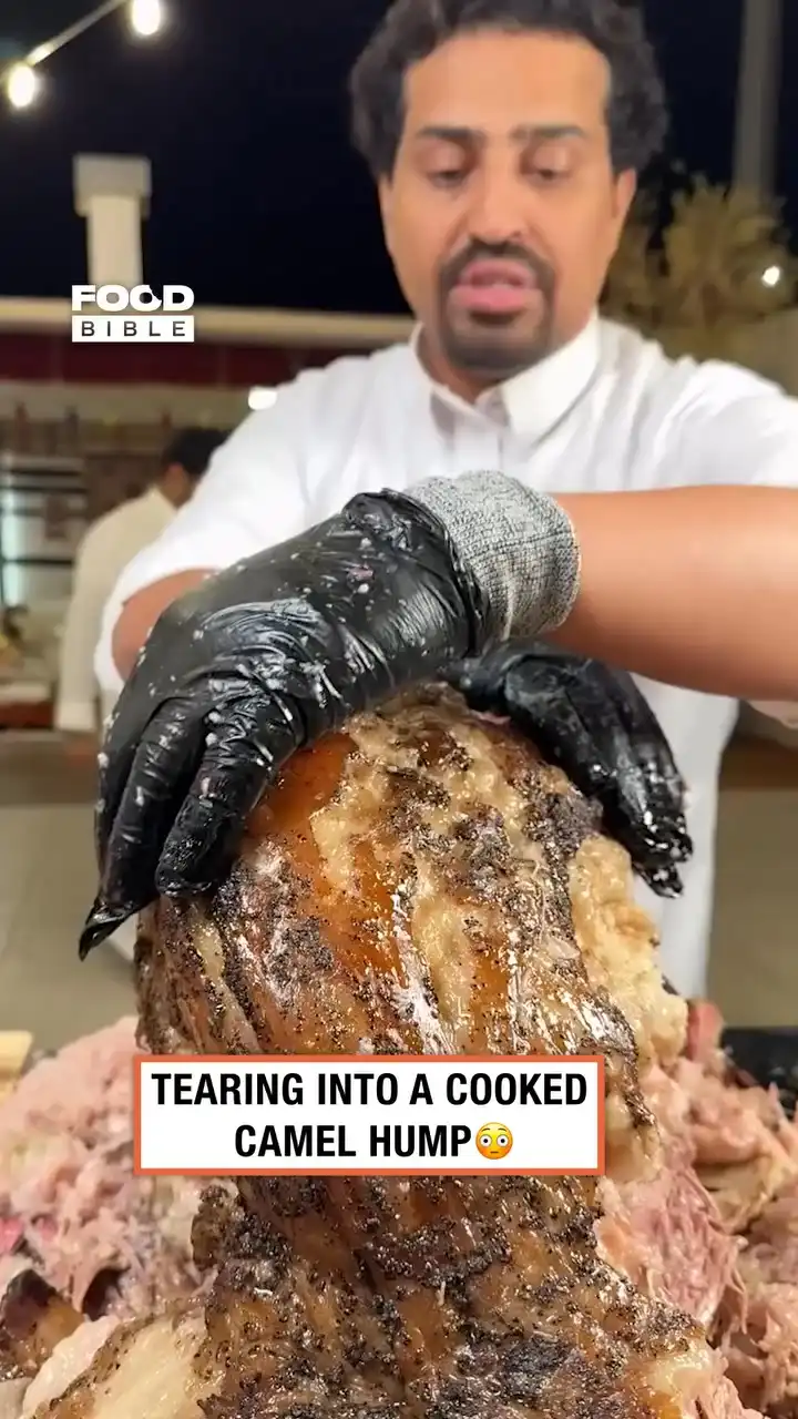 Camels hump cooked 😳