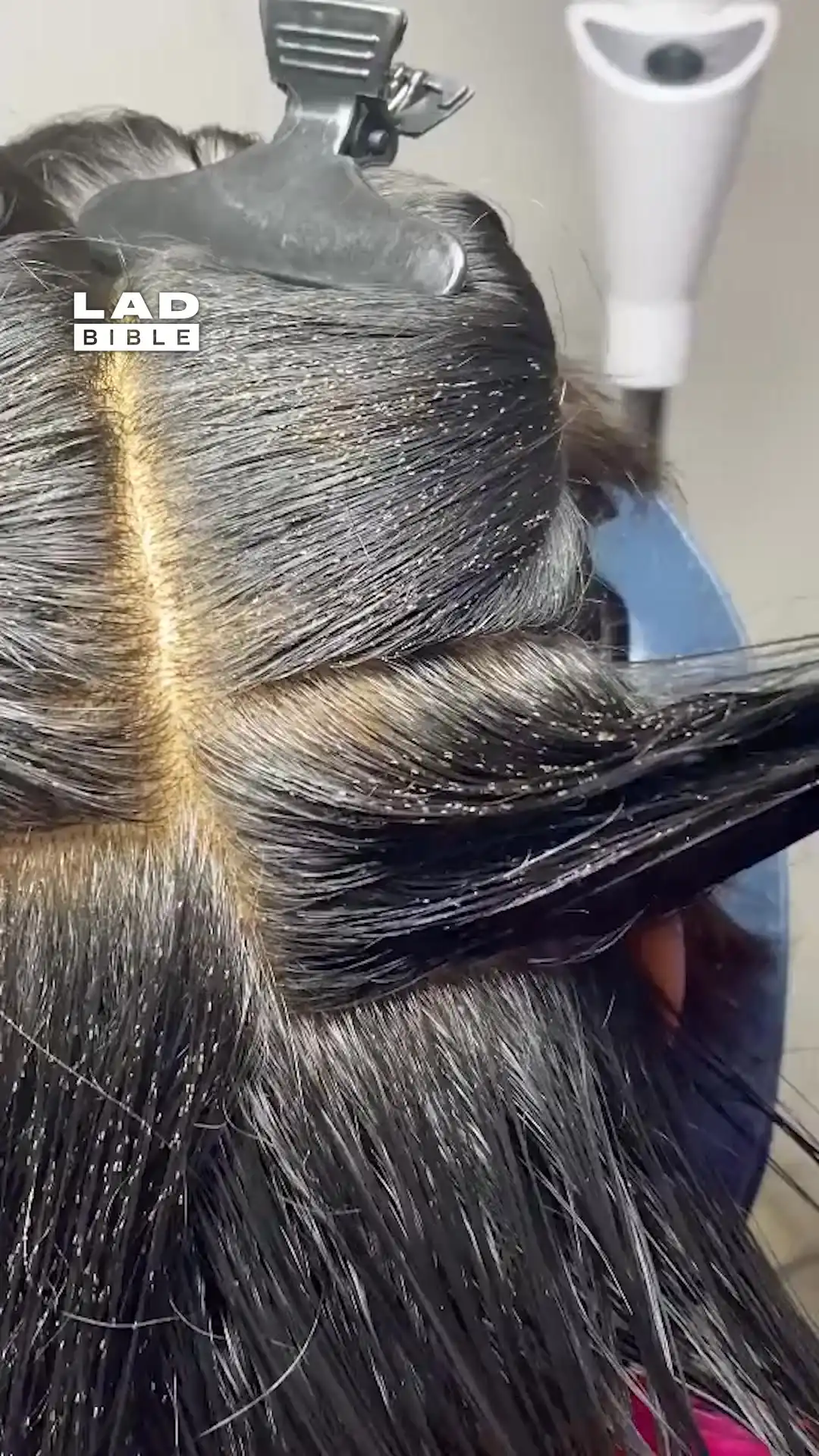 My client's hair was infested 😨