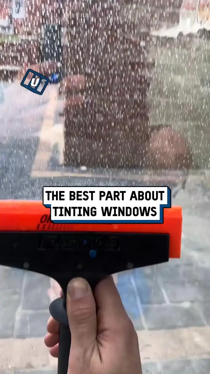 My nosey neighbors won't be able to see in my house anymore 👀😅