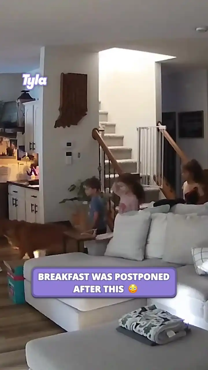 Breakfast was delayed, and her dignity was left at the top of the stairs 😬 #fblifestyle