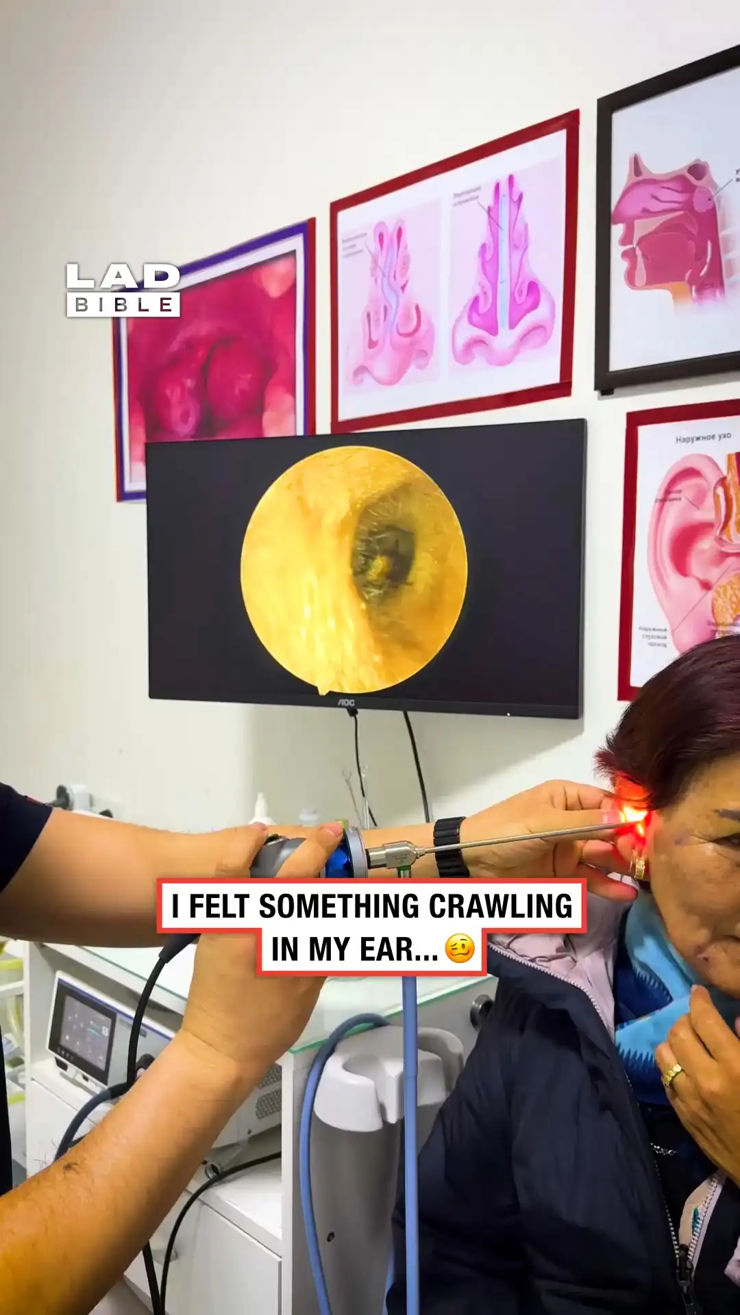 It was staring right back at me 😨 #insects #crazy