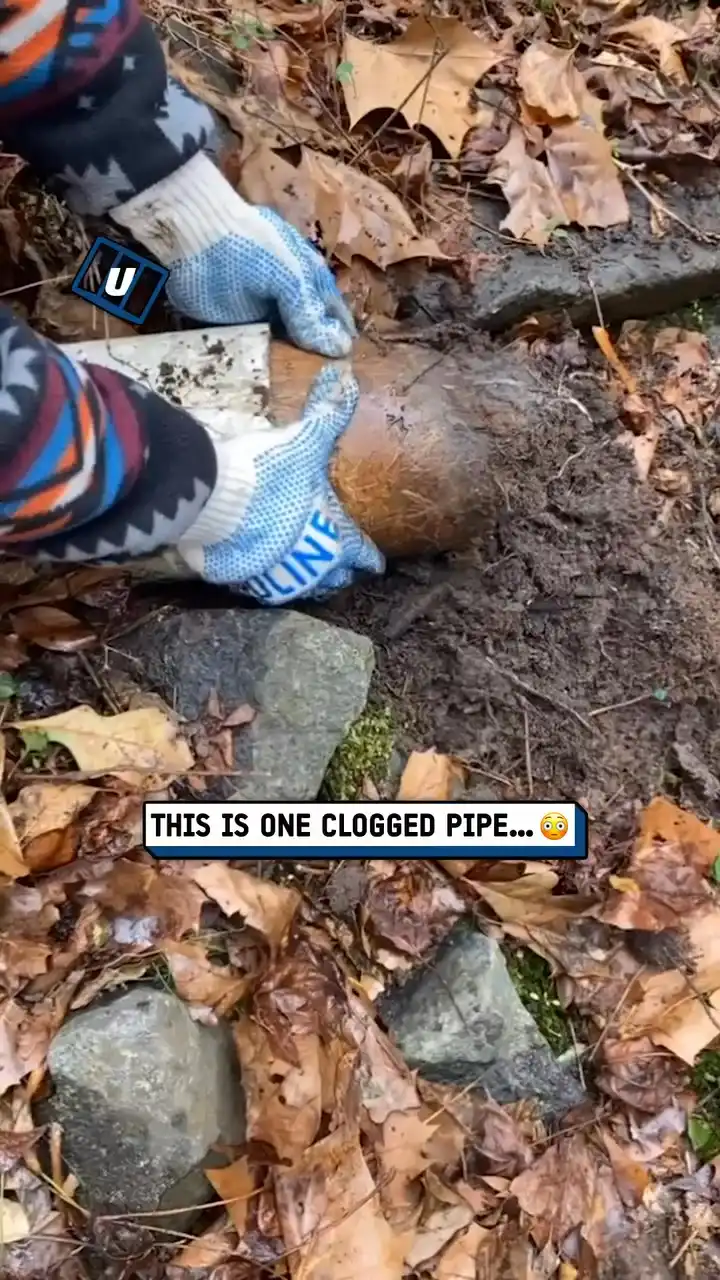 I need this done to my brain when I have brain fog 😅