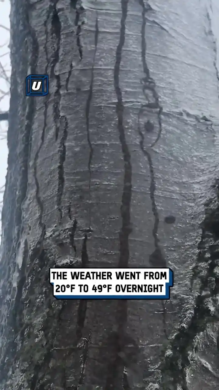 Nature always blows my mind 🤯🧊