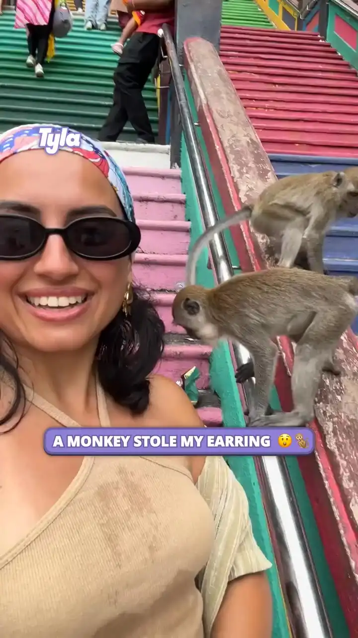 Monkey has good taste 😅🙊 #fblifestyle