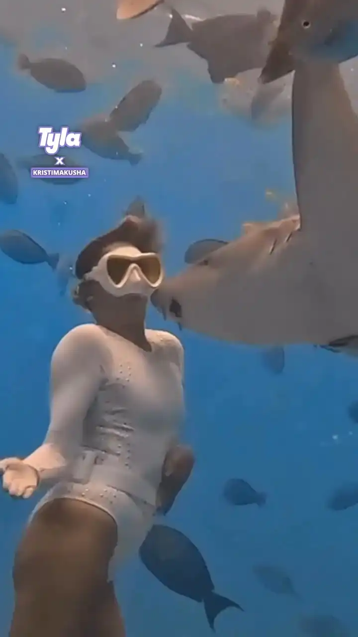 POV the sealife fancies you ππ³ #fblifestyle