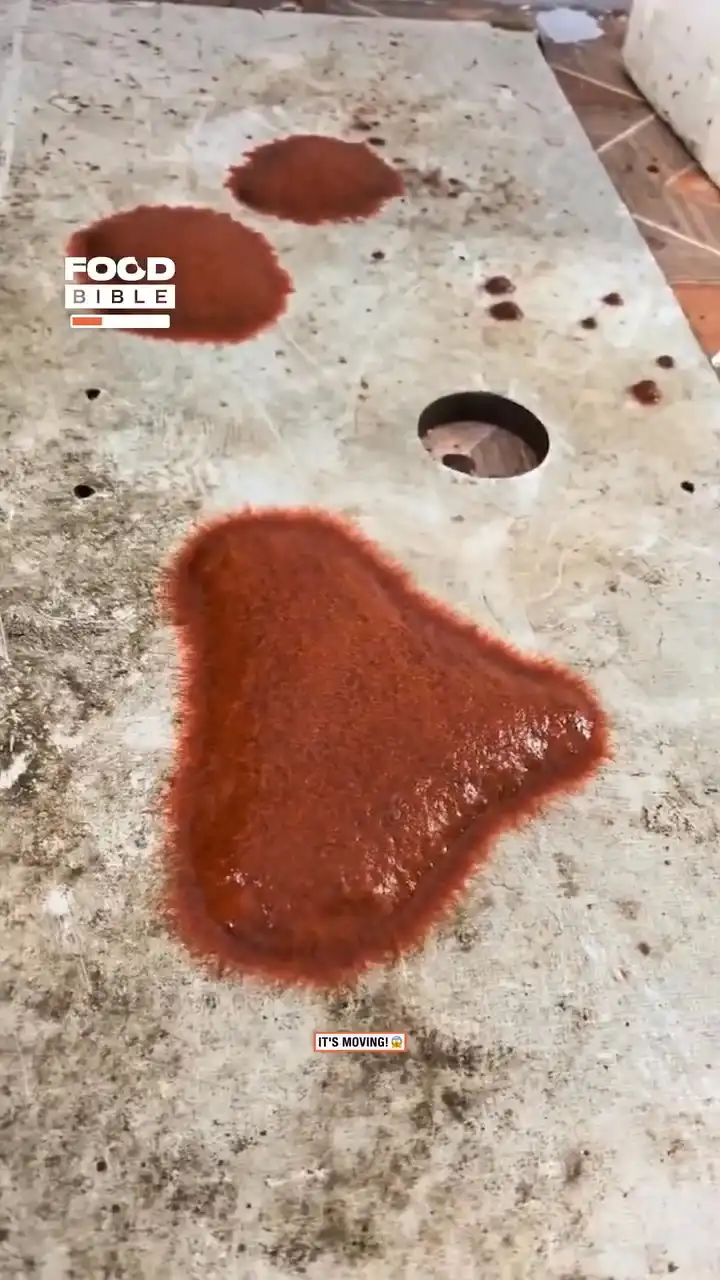 Forbidden ketchup ❌