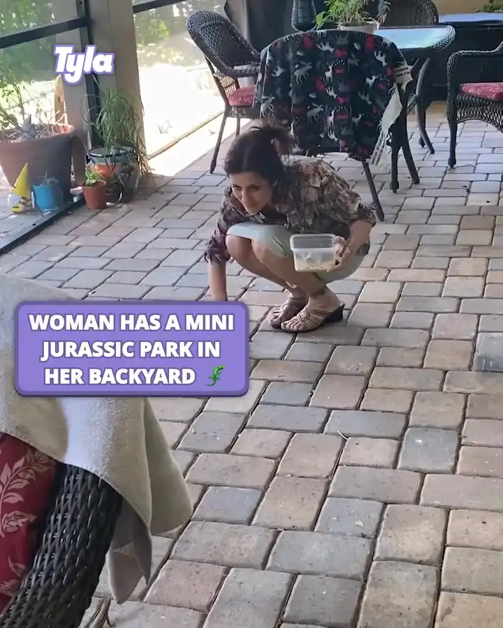 We won't be laughing when they're fully grown... 😅#fblifestyle