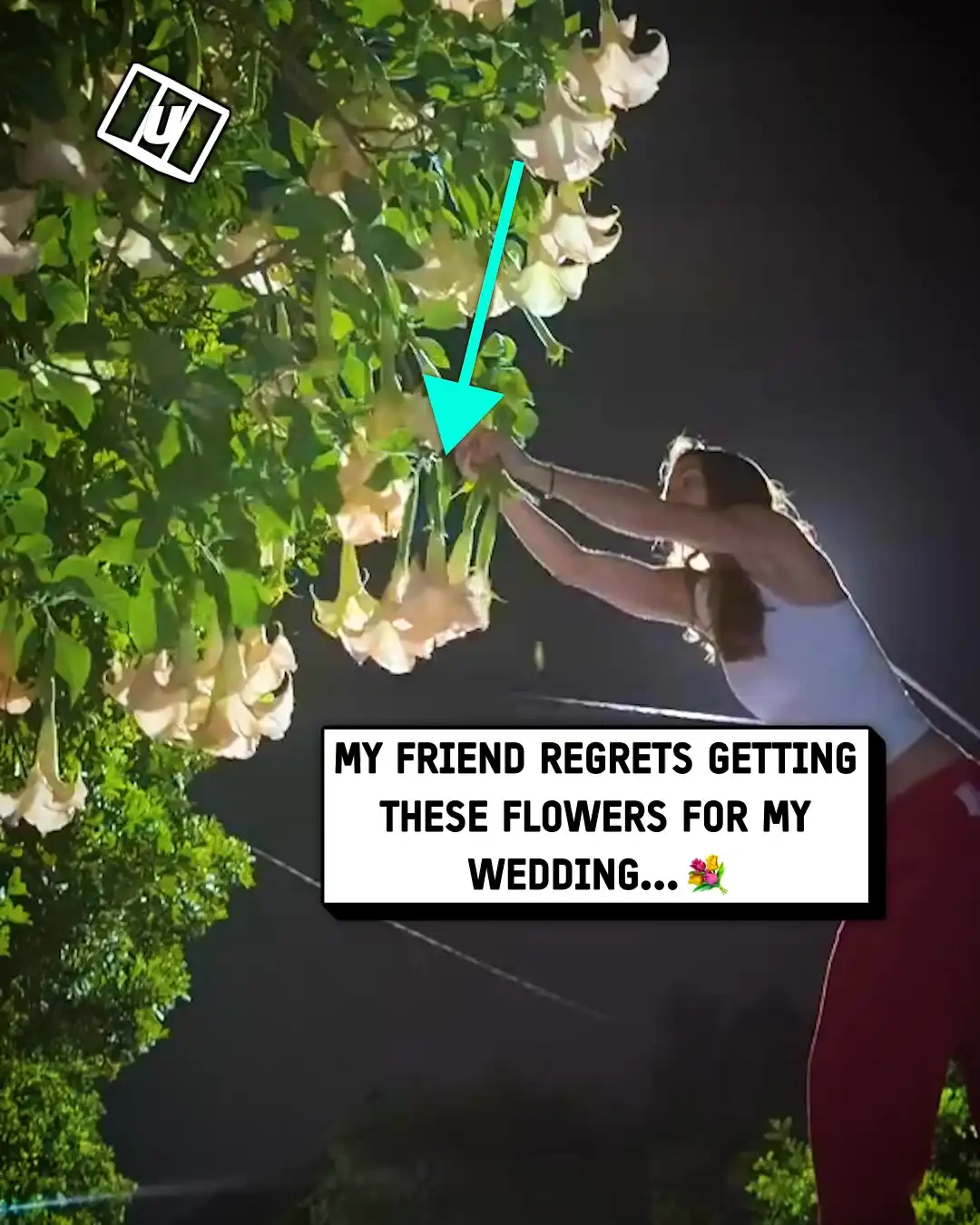 Flowers for my wedding gone wrong 🫣🌺