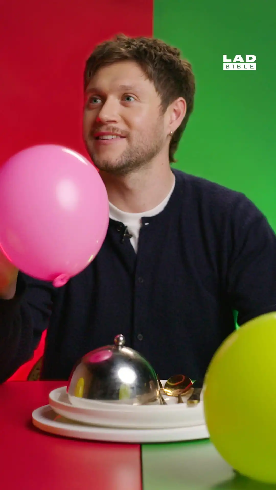 Niall Horan talks about dinner parties