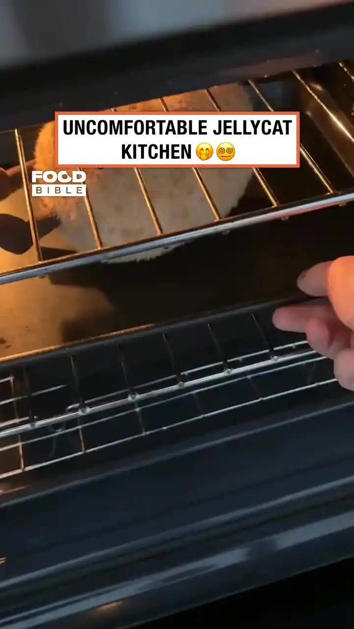 Jellycat kitchen is infuriating ๐ก