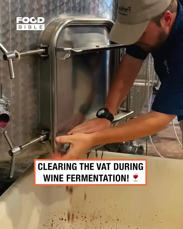 Clearing the vat during wine fermentation 😳🍷
